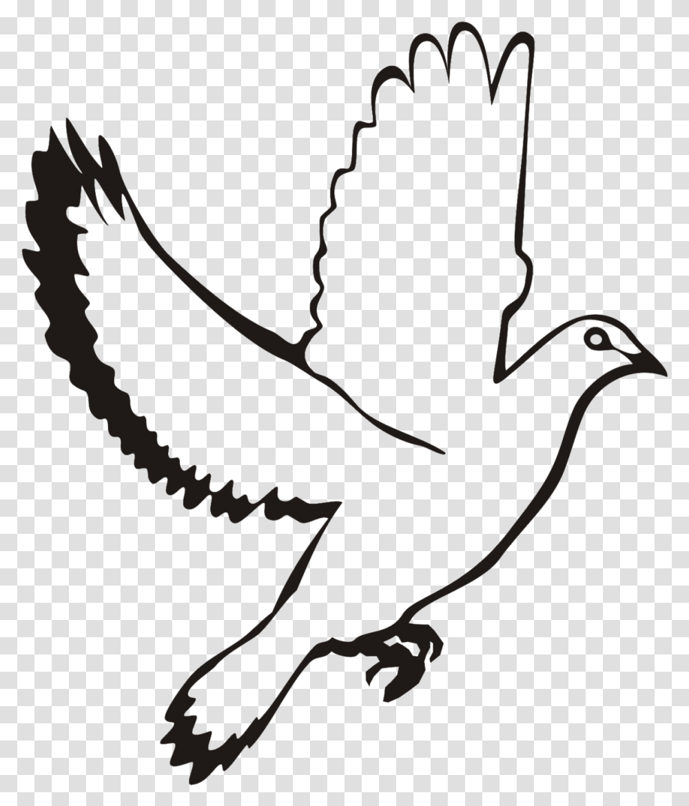 Vector White Dove, Bow, Necklace, Jewelry, Accessories Transparent Png