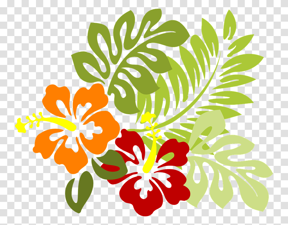 Vectores De Flores Hibiscus Clip Art, Plant, Floral Design, Pattern Transparent Png