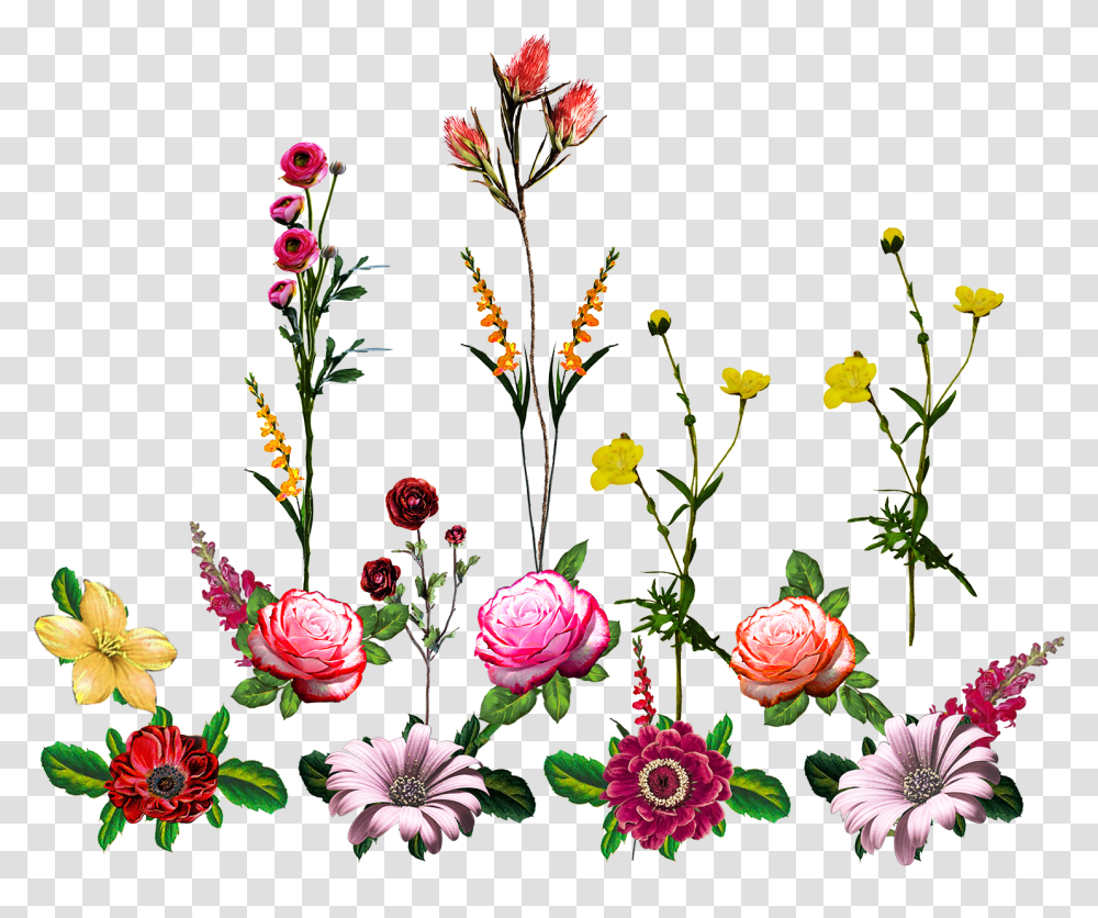 Vectorflowervector Artflower Vectorvector Flower Vector Flower, Floral Design, Pattern, Plant Transparent Png