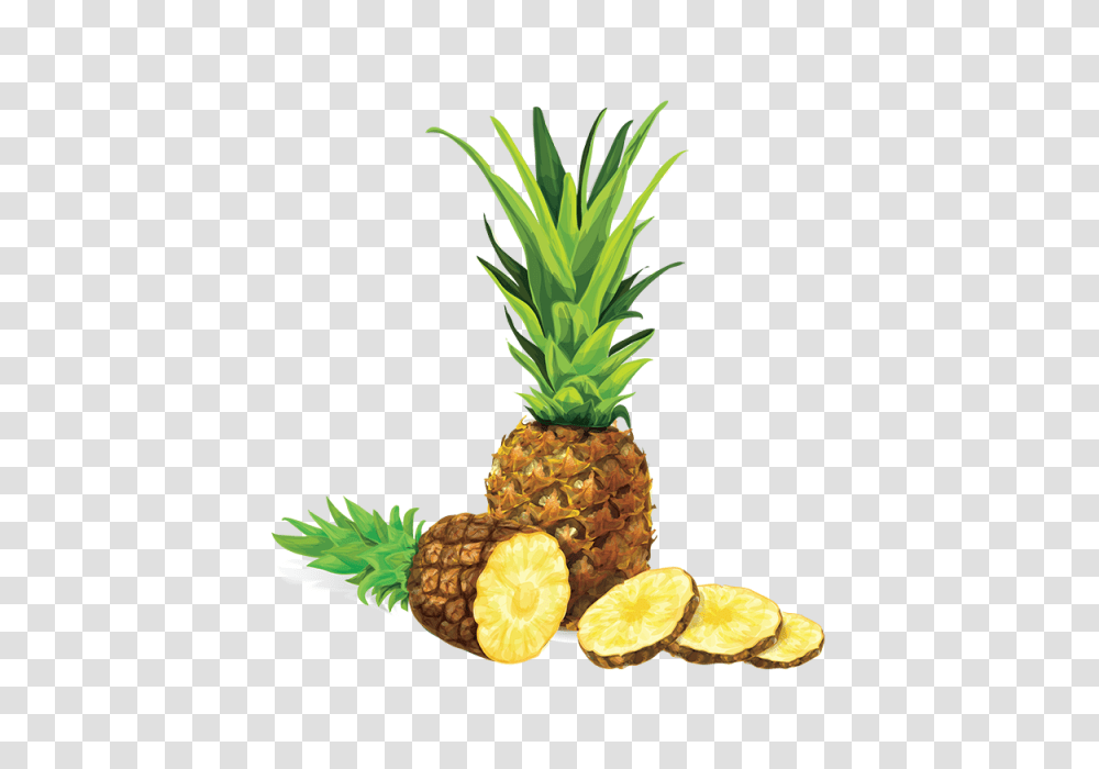 Vectorial De Ilustracion Vector, Plant, Pineapple, Fruit, Food Transparent Png
