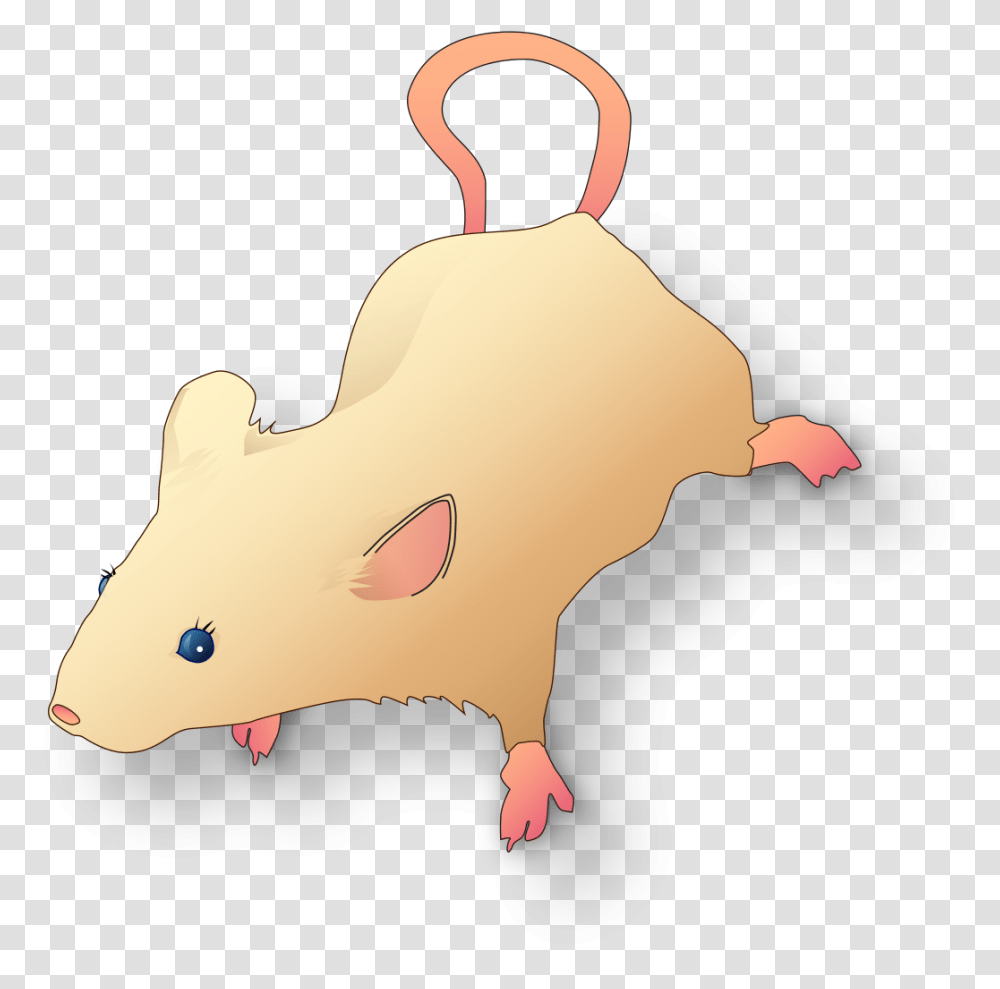 Vectorized Lab Mouse Mg 3263 For Scientific Figures Scientific Mouse, Animal, Mammal, Rodent, Rat Transparent Png