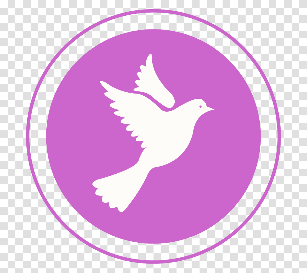 Vectors Invitation First Communion, Bird, Animal, Logo Transparent Png