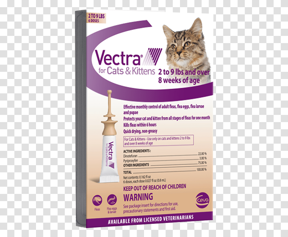 Vectra For Cats, Poster, Advertisement, Flyer, Paper Transparent Png