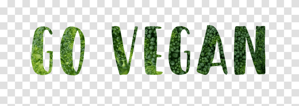 Vegan Nature, Plant, Cucumber, Vegetable Transparent Png
