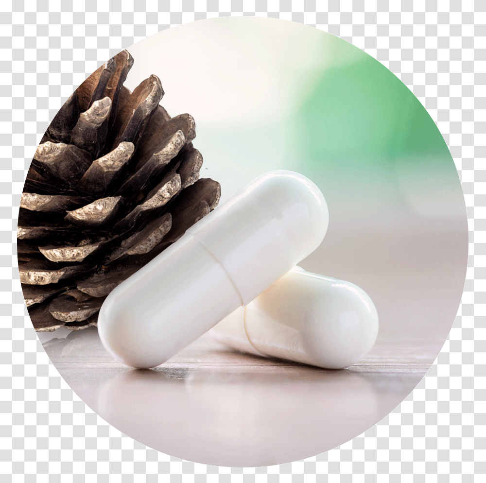 Vegan Capsule Shell Pill, Medication Transparent Png