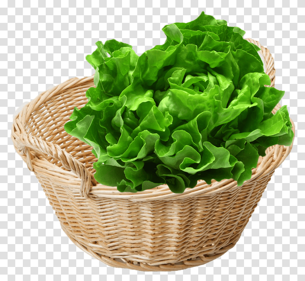 Vegan Cruelty To Vegetables, Plant, Basket, Lettuce, Food Transparent Png