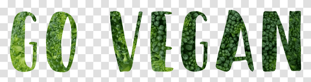 Vegan, Plant, Vegetable, Food, Pea Transparent Png