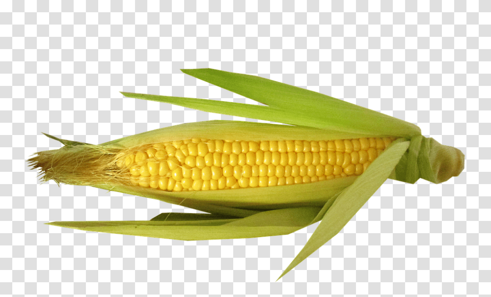 Vegetable 960, Plant, Corn, Food, Fish Transparent Png