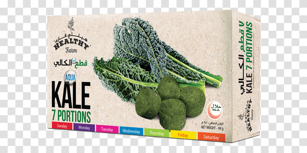 Vegetable Aqua Kale 7 Portions, Plant, Cabbage, Food, Snake Transparent Png