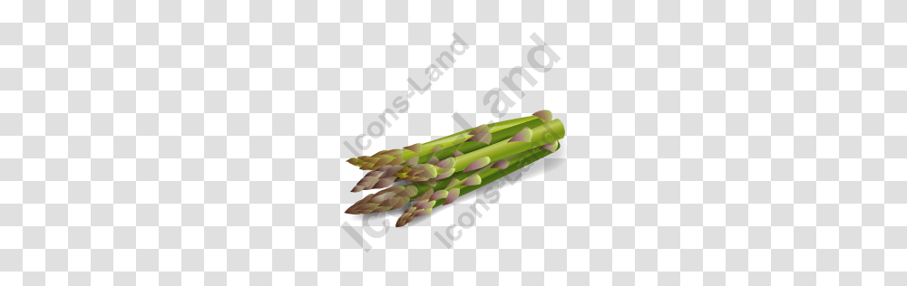 Vegetable Asparagus Icon Pngico Icons, Plant, Food, Weapon, Weaponry Transparent Png