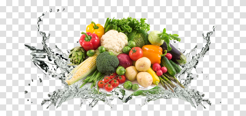 Vegetable Background Healthy Food Background, Plant, Broccoli, Cauliflower, Meal Transparent Png
