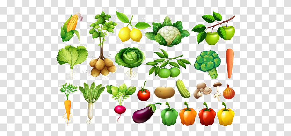 Vegetable Background Image Background Vegetables Images, Plant, Cauliflower, Food, Fruit Transparent Png