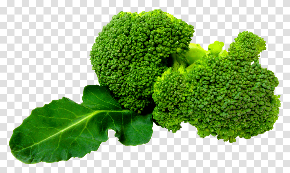 Vegetable Broccoli Transparent Png