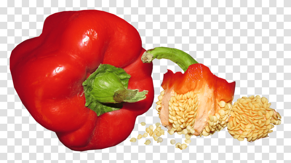 Vegetable Capsicum Seed Food Healthy Cooking Capsicum Seed, Plant, Pepper, Bell Pepper, Rose Transparent Png