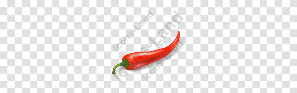 Vegetable Chili Pepper Red Icon Pngico Icons, Weapon, Weaponry, Dynamite, Bomb Transparent Png