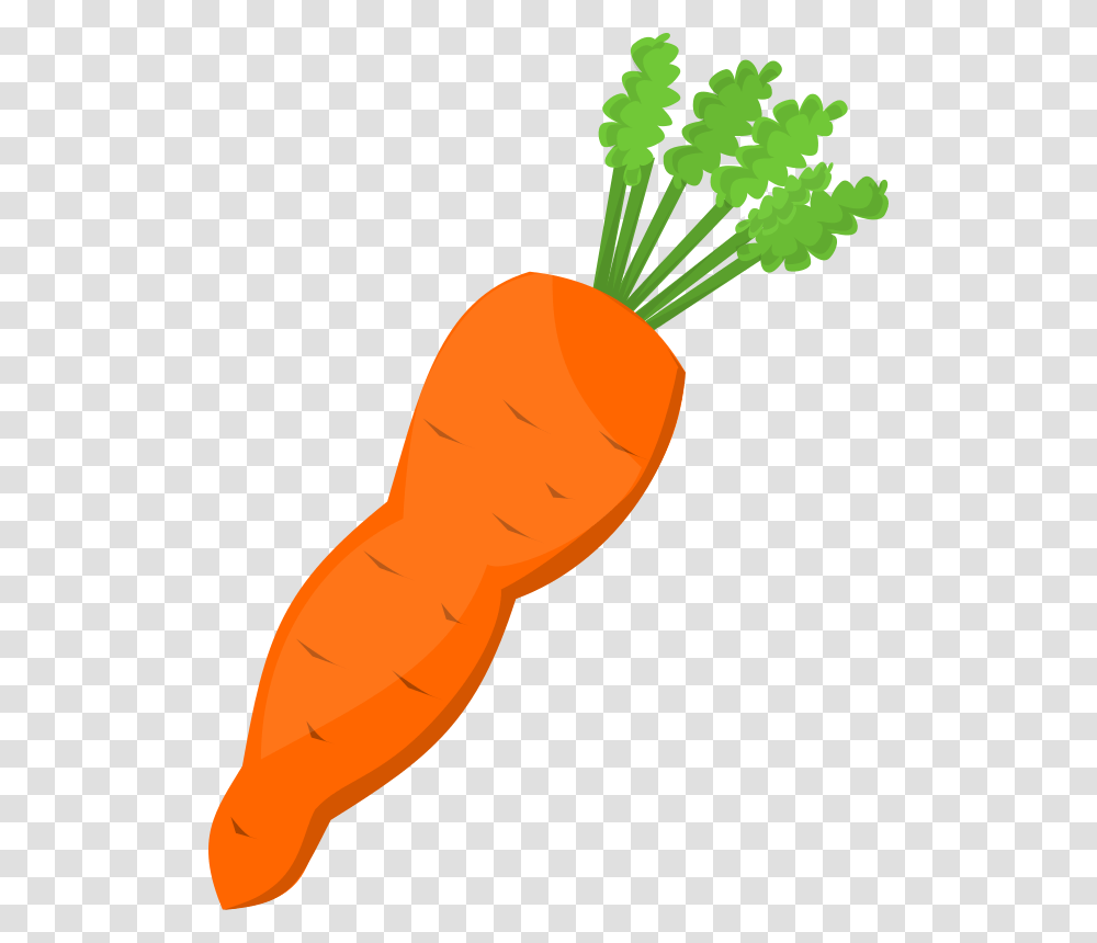 Vegetable Clipart Carrot Nose, Plant, Food Transparent Png