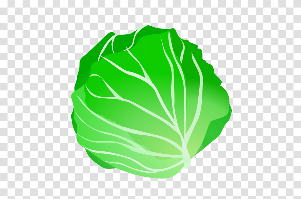 Vegetable Clipart Nice Clip Art, Plant, Cabbage, Food, Head Cabbage Transparent Png