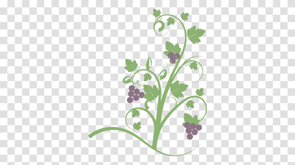 Vegetable Clipart Vine, Plant, Grapes, Fruit, Food Transparent Png