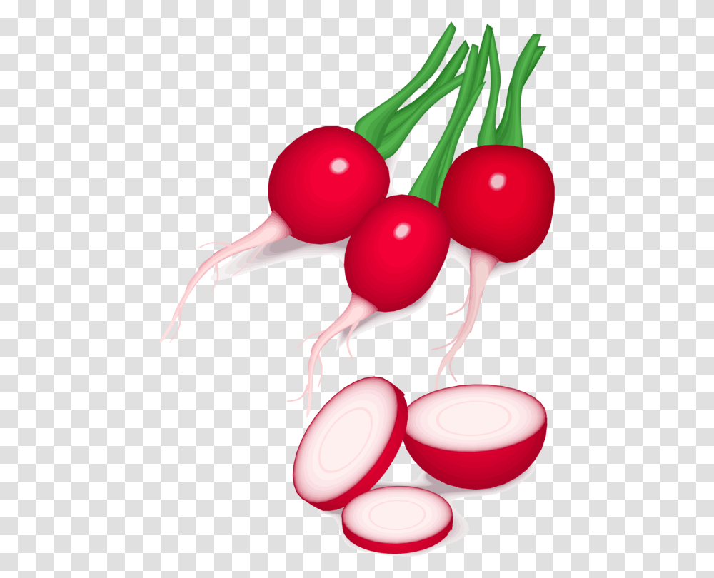 Vegetable Computer Icons Daikon Food Beetroot, Plant, Toy, Radish, Produce Transparent Png