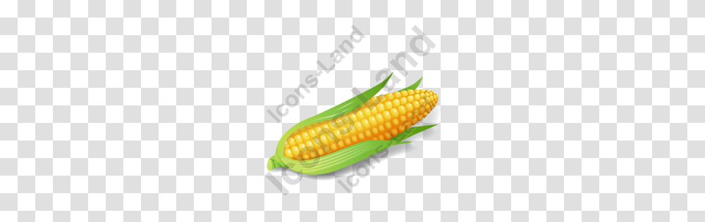 Vegetable Corn Icon Pngico Icons, Plant, Food, Snake, Reptile Transparent Png