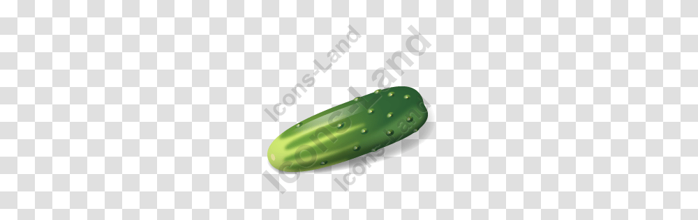 Vegetable Cucumber Icon Pngico Icons, Plant, Food, Pickle, Relish Transparent Png