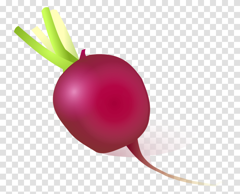 Vegetable Daikon Onion Eating Turnip, Plant, Radish, Food, Produce Transparent Png