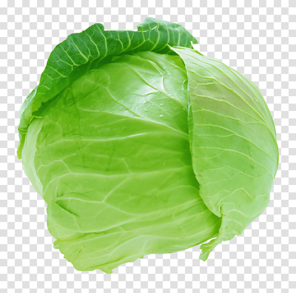 Vegetable Free Image Cabbage, Plant, Food, Head Cabbage, Produce Transparent Png