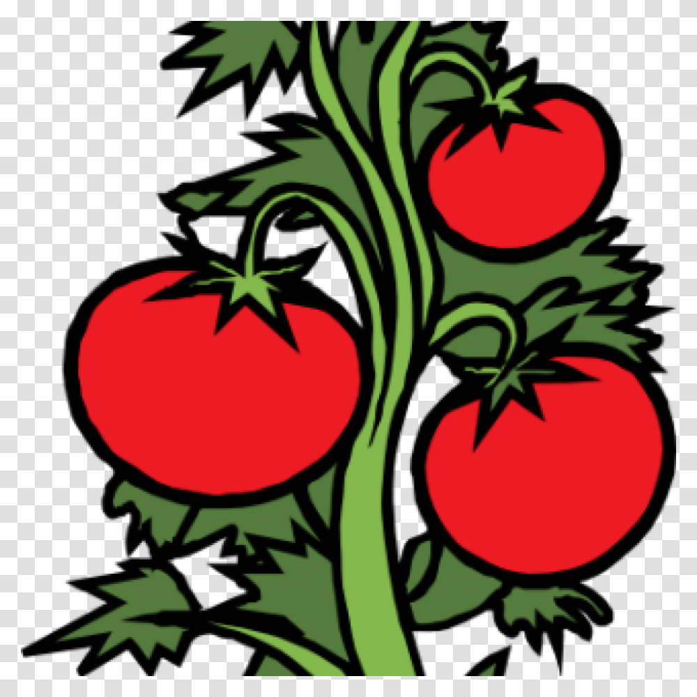 Vegetable Garden Clip Art Free Clipart Download, Plant, Food, Tomato, Produce Transparent Png