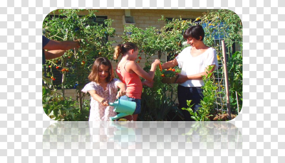 Vegetable Garden Fir, Outdoors, Person, Human, Gardening Transparent Png