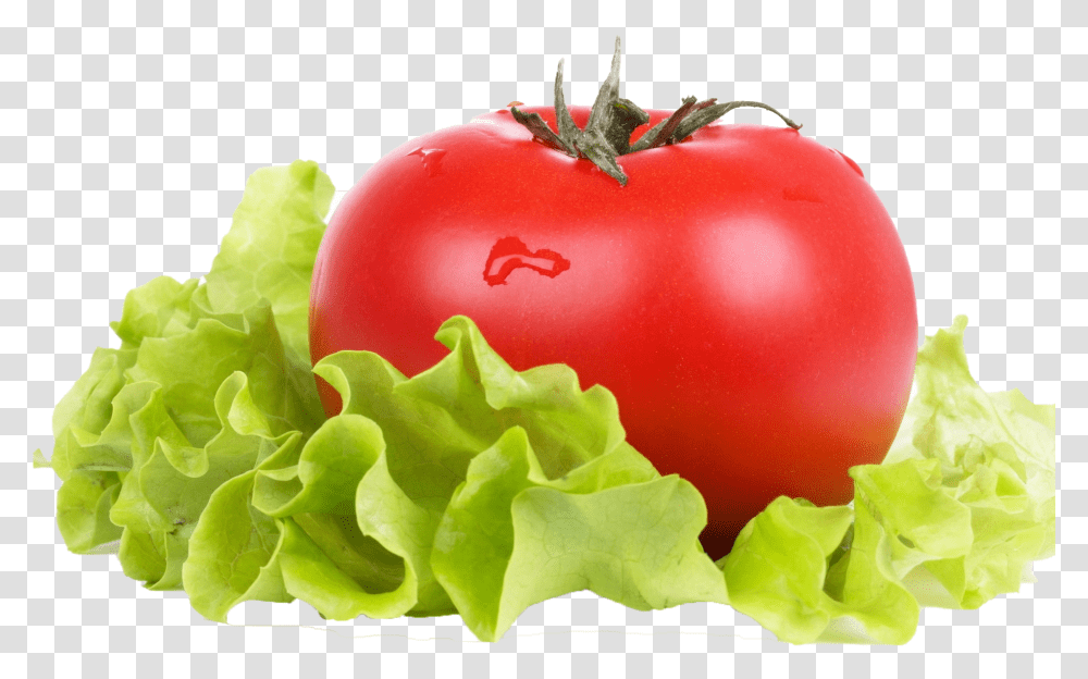 Vegetable Green Leaves Background Tomato And Lettuce, Plant, Food, Rose, Flower Transparent Png