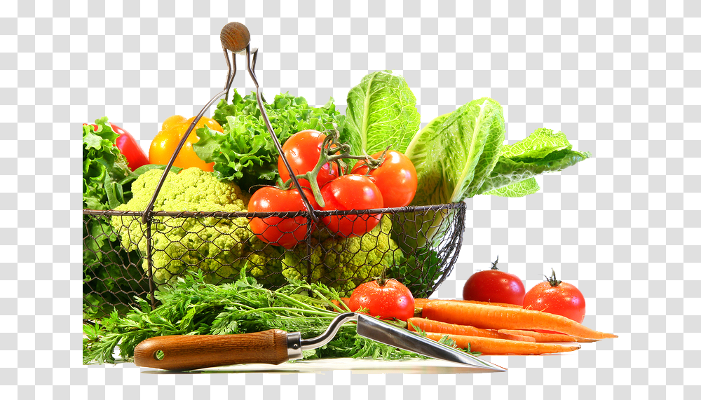 Vegetable Image Fruit And Veg Background, Plant, Food, Lettuce, Tomato Transparent Png