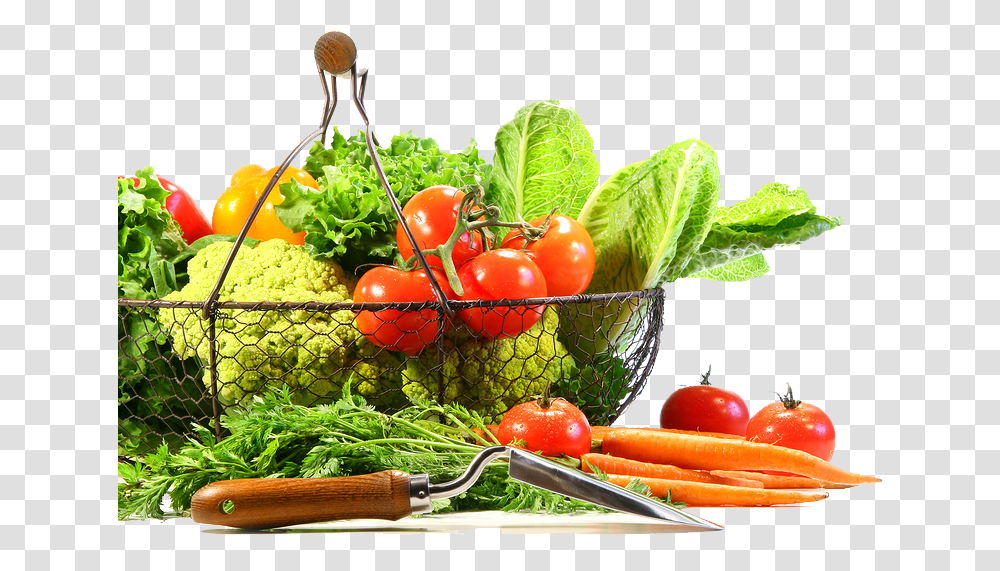 Vegetable Images Fruits And Vegetables Background, Plant, Food, Lettuce, Tomato Transparent Png