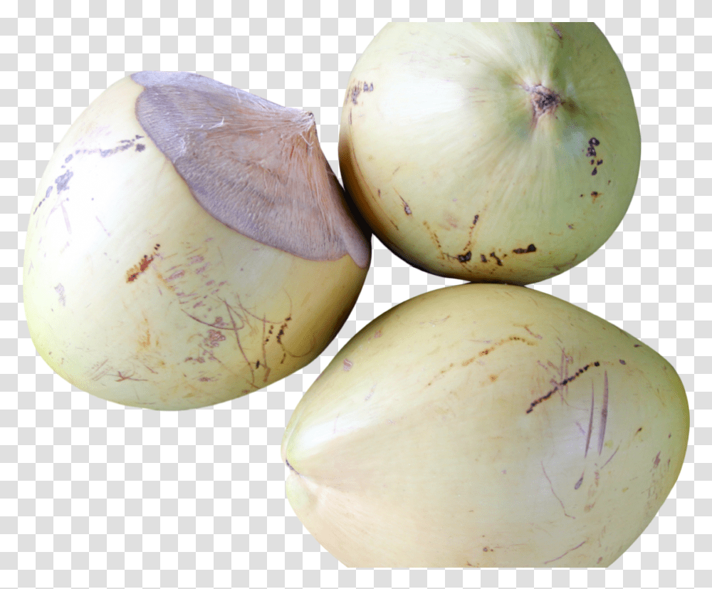 Vegetable, Plant, Food, Egg, Onion Transparent Png