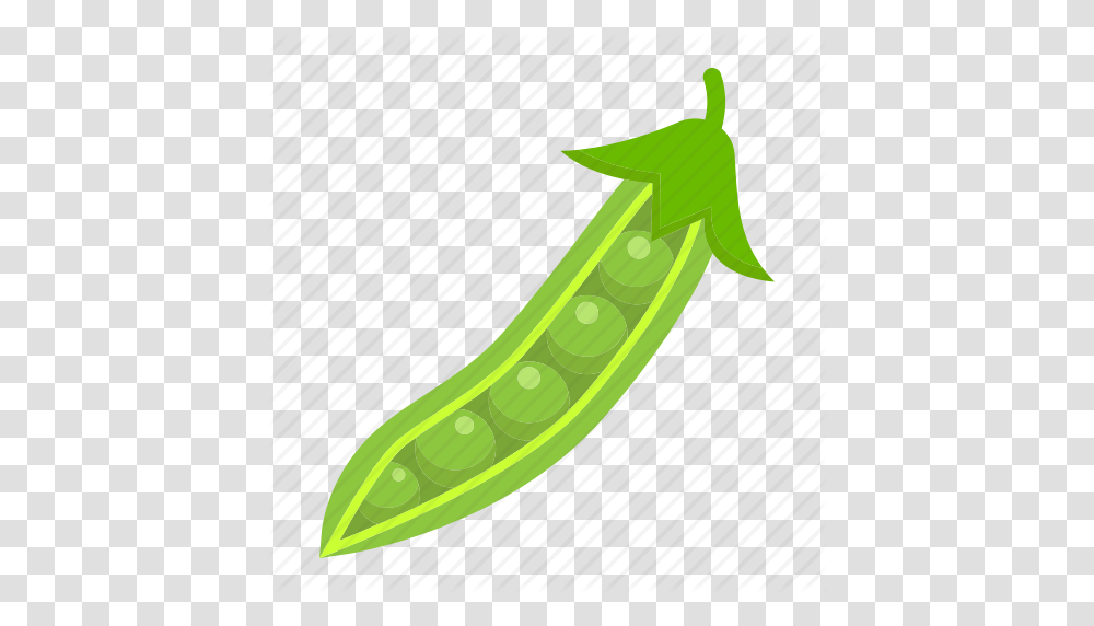 Vegetable, Plant, Food, Produce, Cucumber Transparent Png