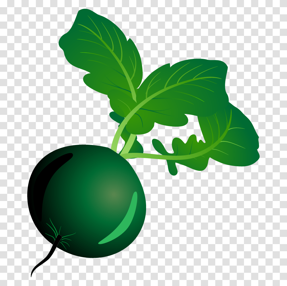 Vegetable, Plant, Food, Radish, Tennis Ball Transparent Png