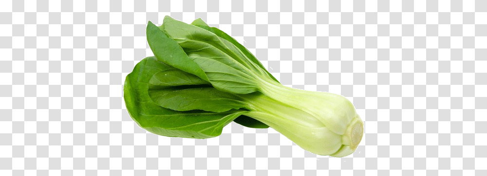 Vegetableleaf Sumleafflowerchinese Plantspinachromaine Bok Choy In Italiano, Food, Produce, Cabbage, Leek Transparent Png