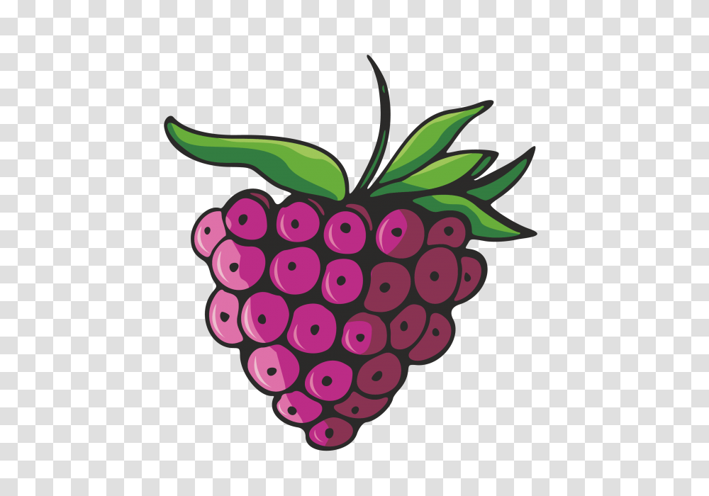 Vegetables And Fruits Vegetables Fruits Fruit And Vector, Plant, Food, Raspberry, Grapes Transparent Png