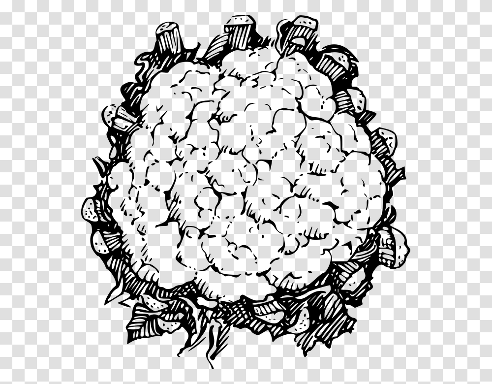Vegetables Black And White Black And White Food Drink Cauliflower Black And White, Gray, World Of Warcraft Transparent Png