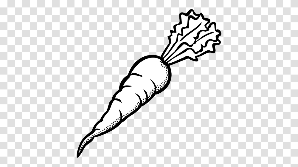 Vegetables Black And White Clip, Plant, Food, Carrot, Root Transparent Png