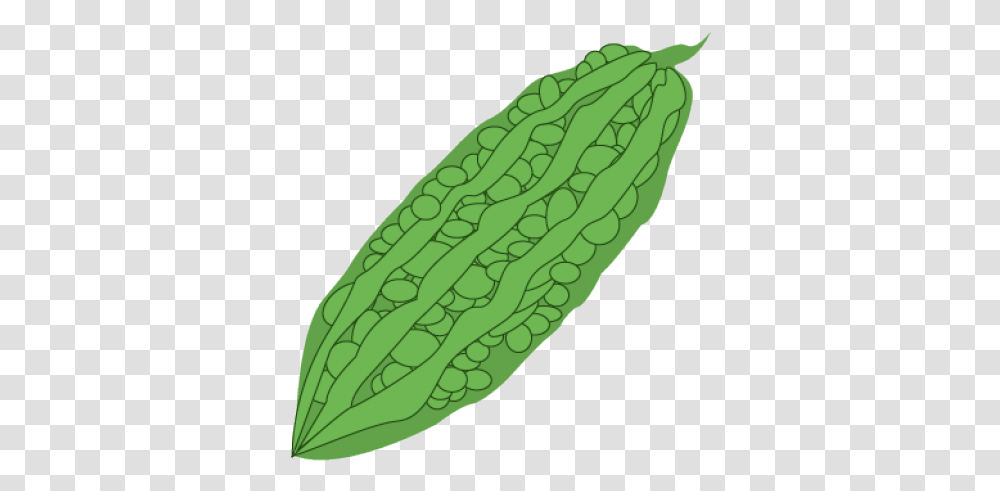 Vegetables Clipart Ampalaya Ampalaya Clipart, Plant, Food, Gourd, Produce Transparent Png