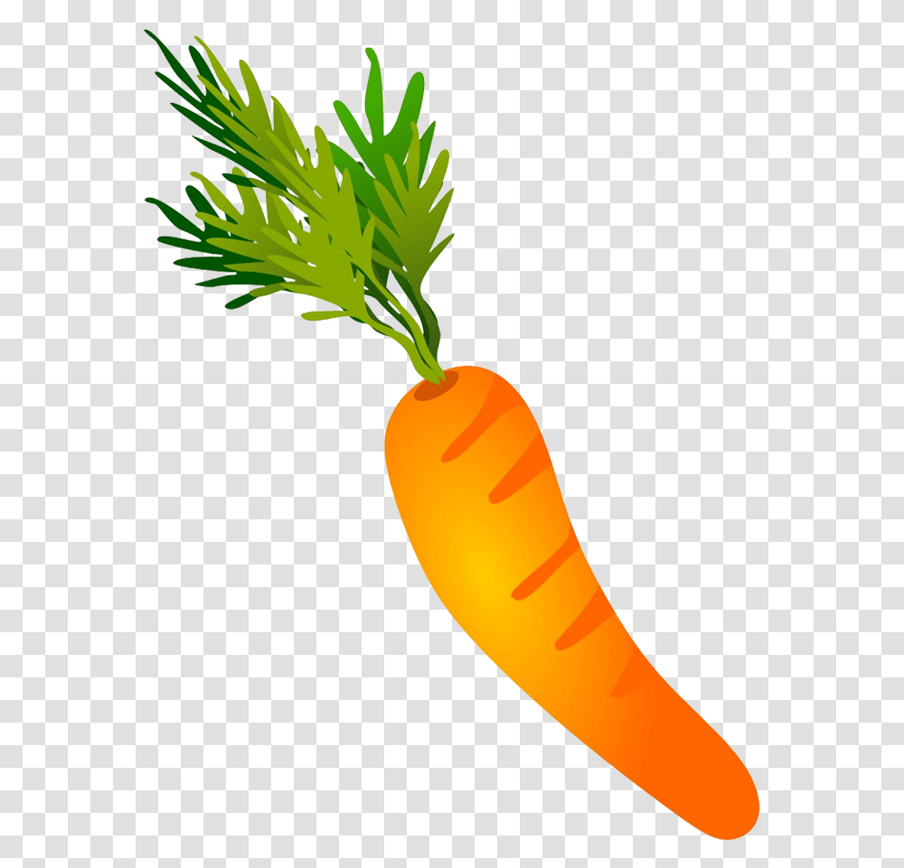 Vegetables Clipart Carrot Drawing, Plant, Food Transparent Png