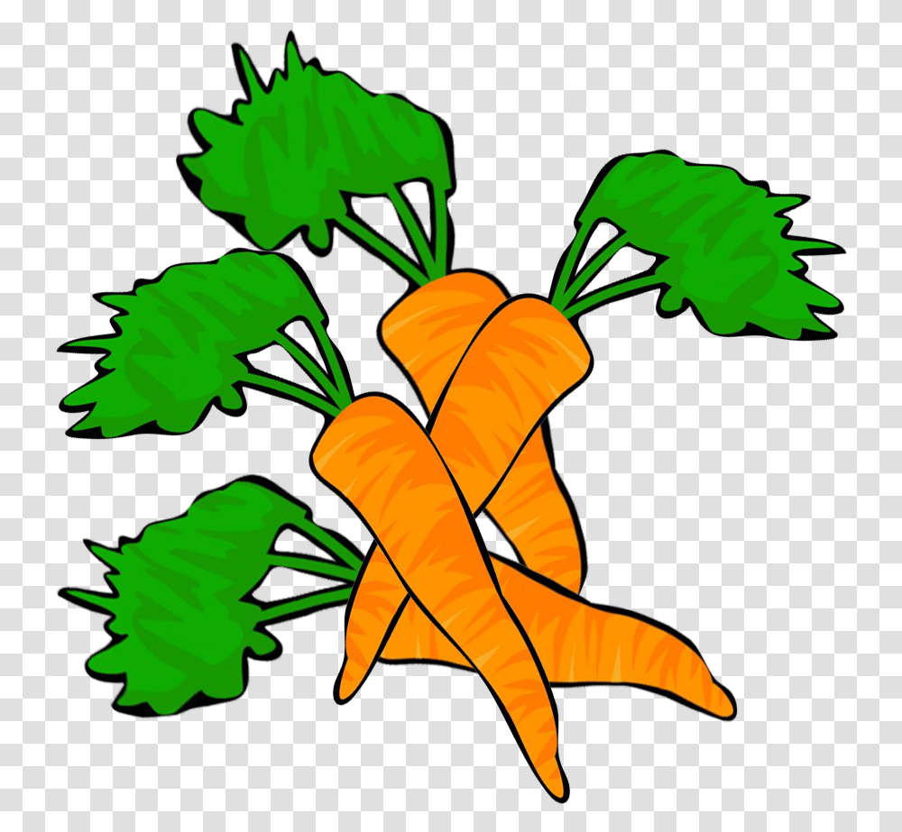 Vegetables Clipart Clip Art, Plant, Carrot, Food, Person Transparent Png