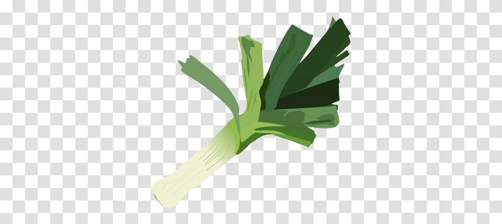 Vegetables Clipart Hierochloe, Plant, Produce, Food, Leek Transparent Png