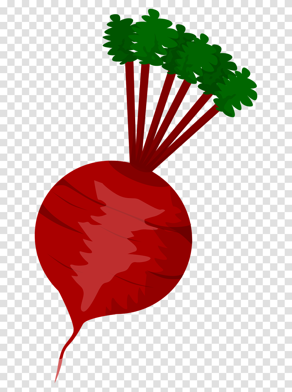 Vegetables Clipart Icon Beet Clipart, Plant, Food, Produce, Radish Transparent Png