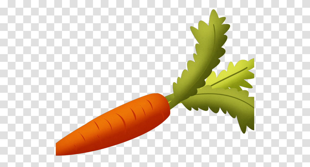 Vegetables Clipart Popular Background Carrot Clipart, Plant, Food, Banana, Fruit Transparent Png