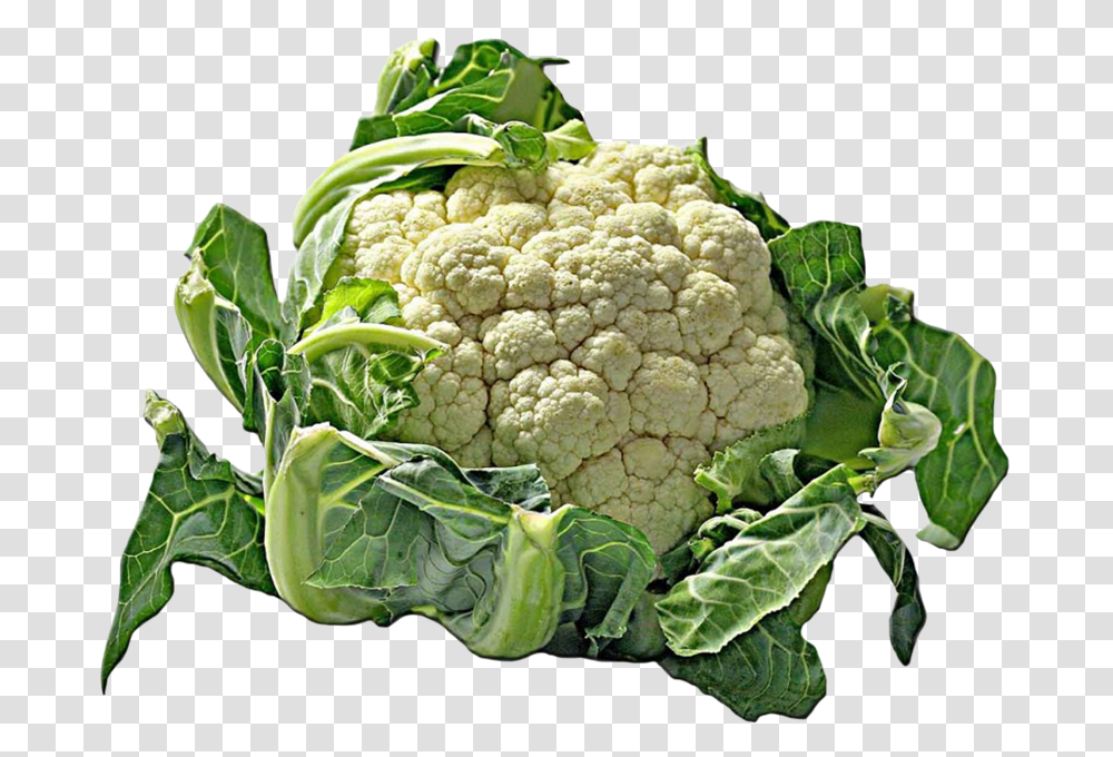 Vegetables Clipart Vegetables In White Background, Cauliflower, Plant, Food Transparent Png