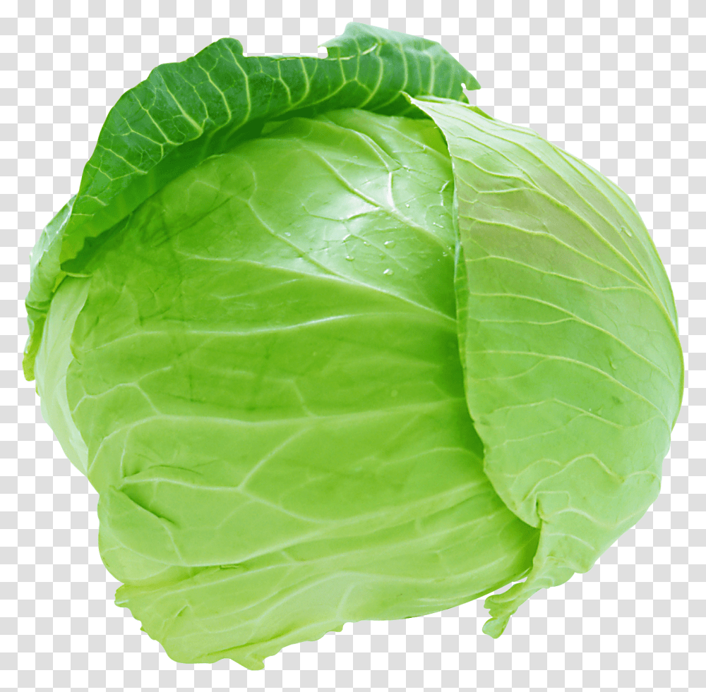 Vegetables Free Images Download Cabbage, Plant, Food, Head Cabbage, Produce Transparent Png
