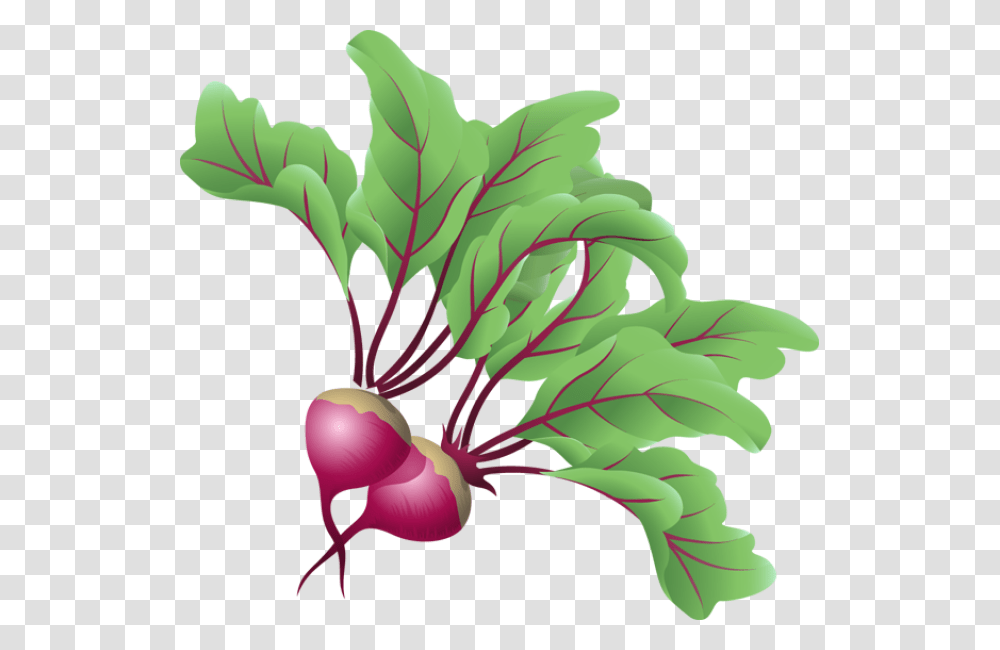 Vegetables, Floral Design, Pattern Transparent Png