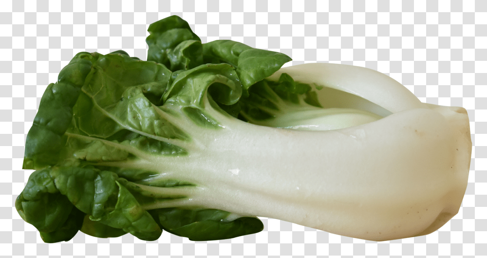 Vegetables Images Bok Choy, Plant, Food, Lettuce, Cabbage Transparent Png