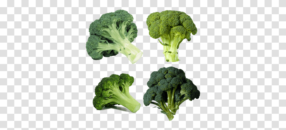 Vegetables Images Broccoli, Plant, Food Transparent Png